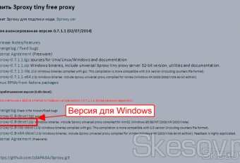 Бесплатный Прокси Сервер для Windows
